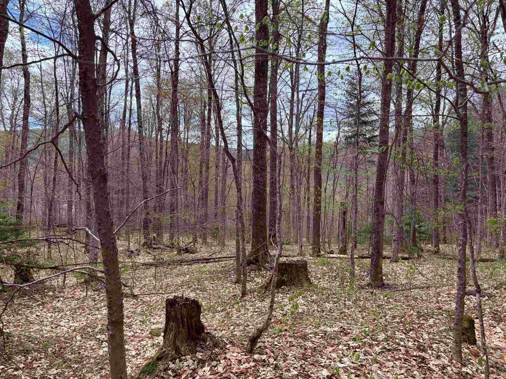 Tbd Boyce Road Fayston VT 05660