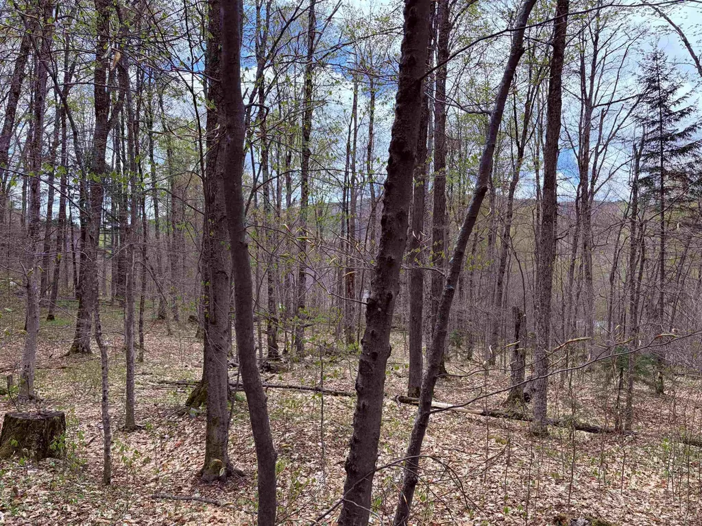 Tbd Boyce Road Fayston VT 05660