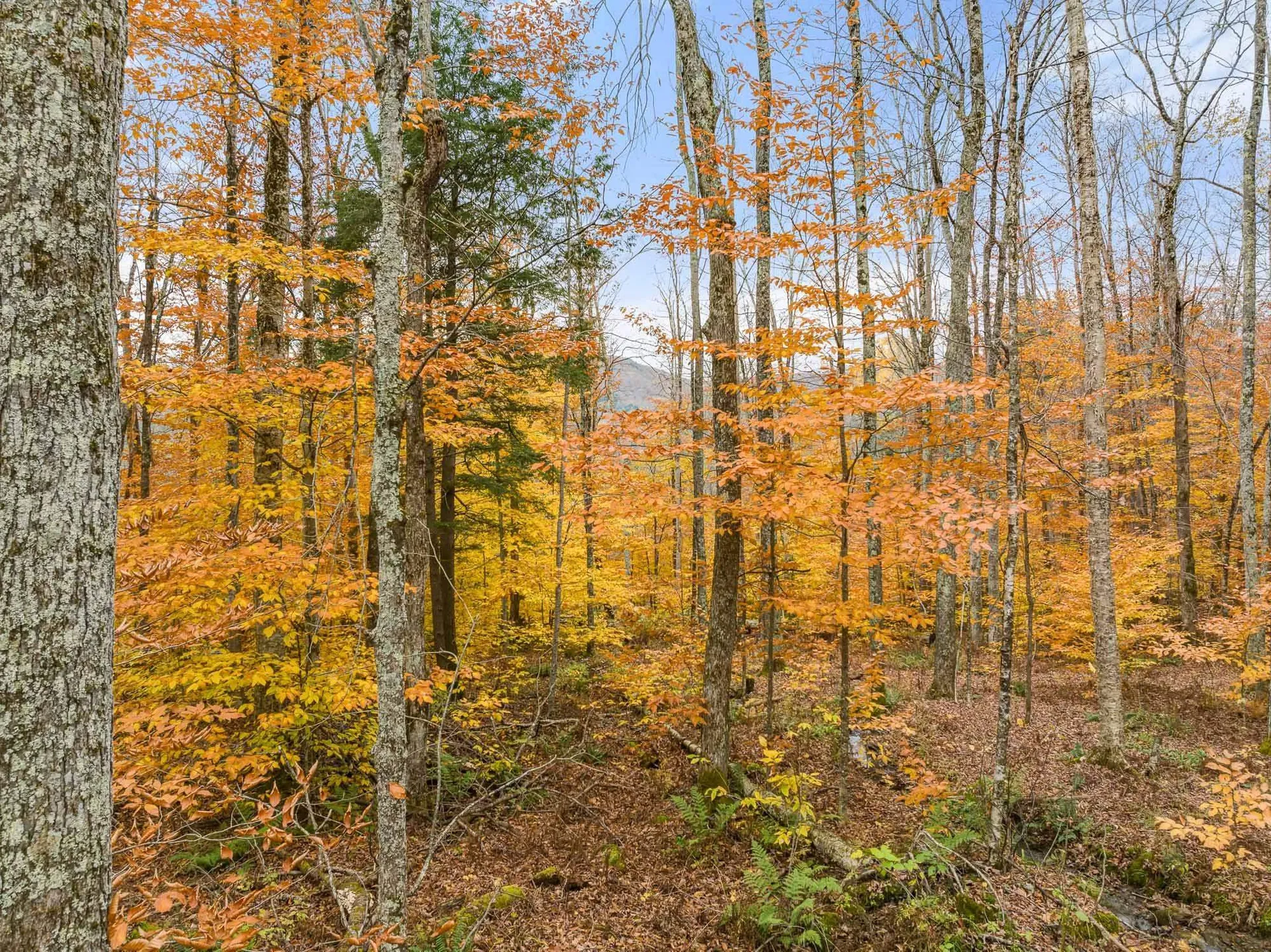 Tbd Boyce Road Fayston VT 05660