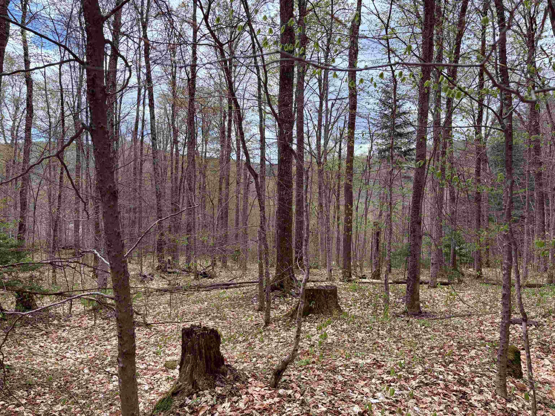 Tbd Boyce Road Fayston VT 05660