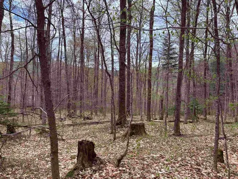 Tbd Boyce Road Fayston VT 05660