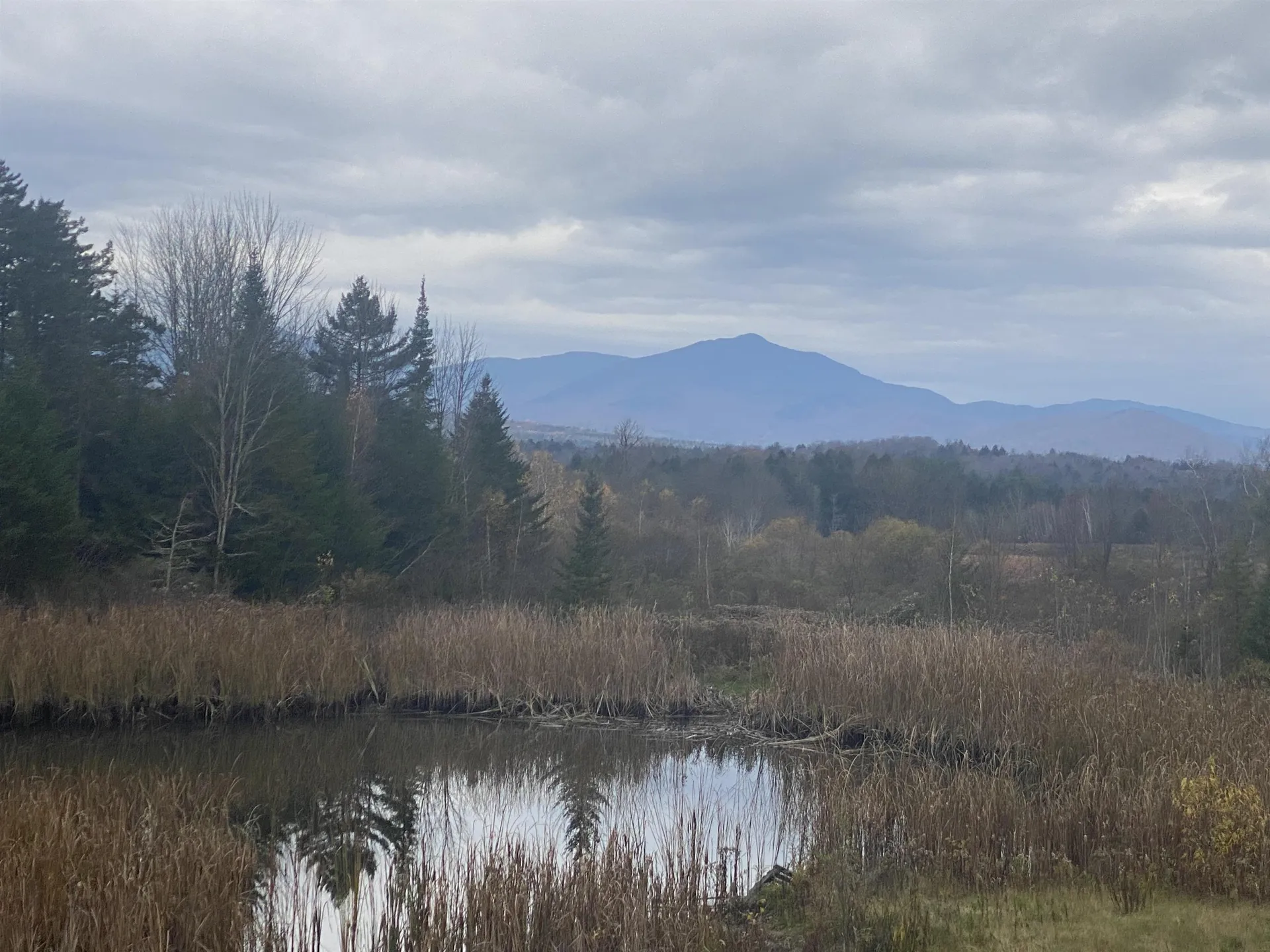 26 Almeron Drive Morristown VT 05655