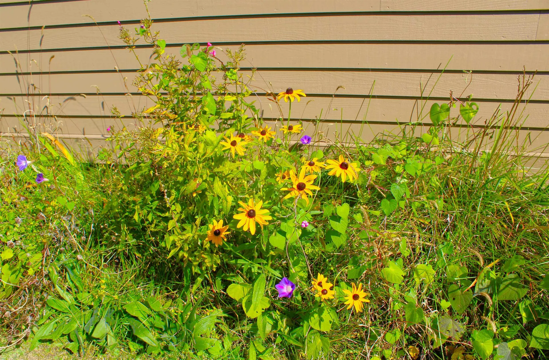 16 Fieldstone Way Hartford VT 05001