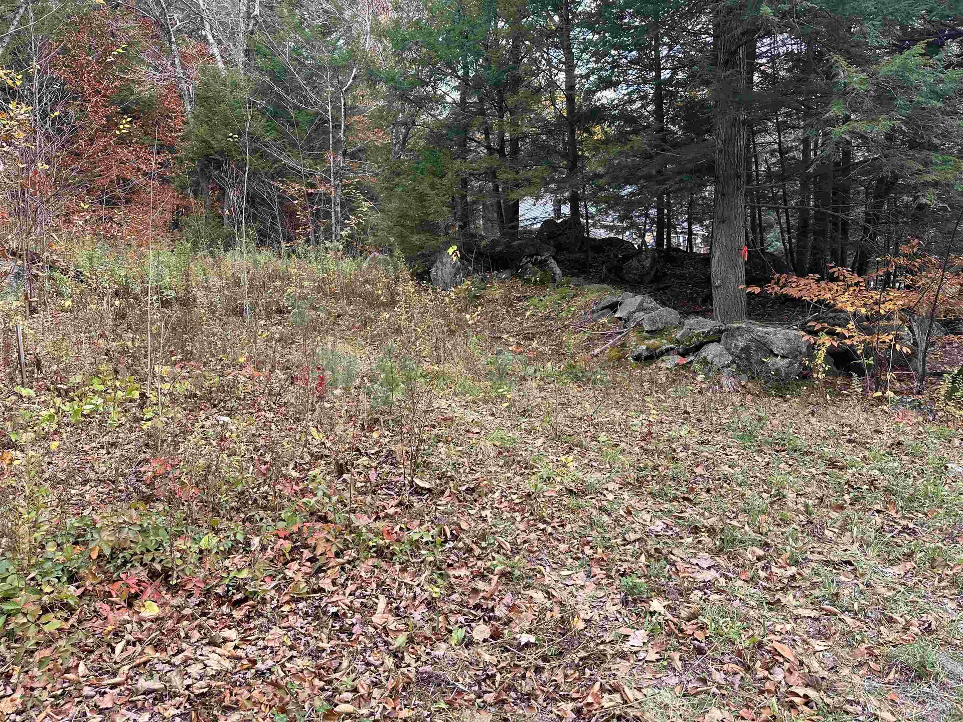 102 Colburn Farm Road Newbury NH 03255