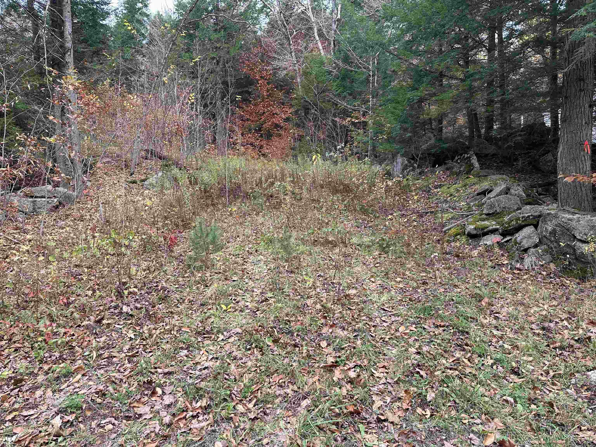 102 Colburn Farm Road Newbury NH 03255