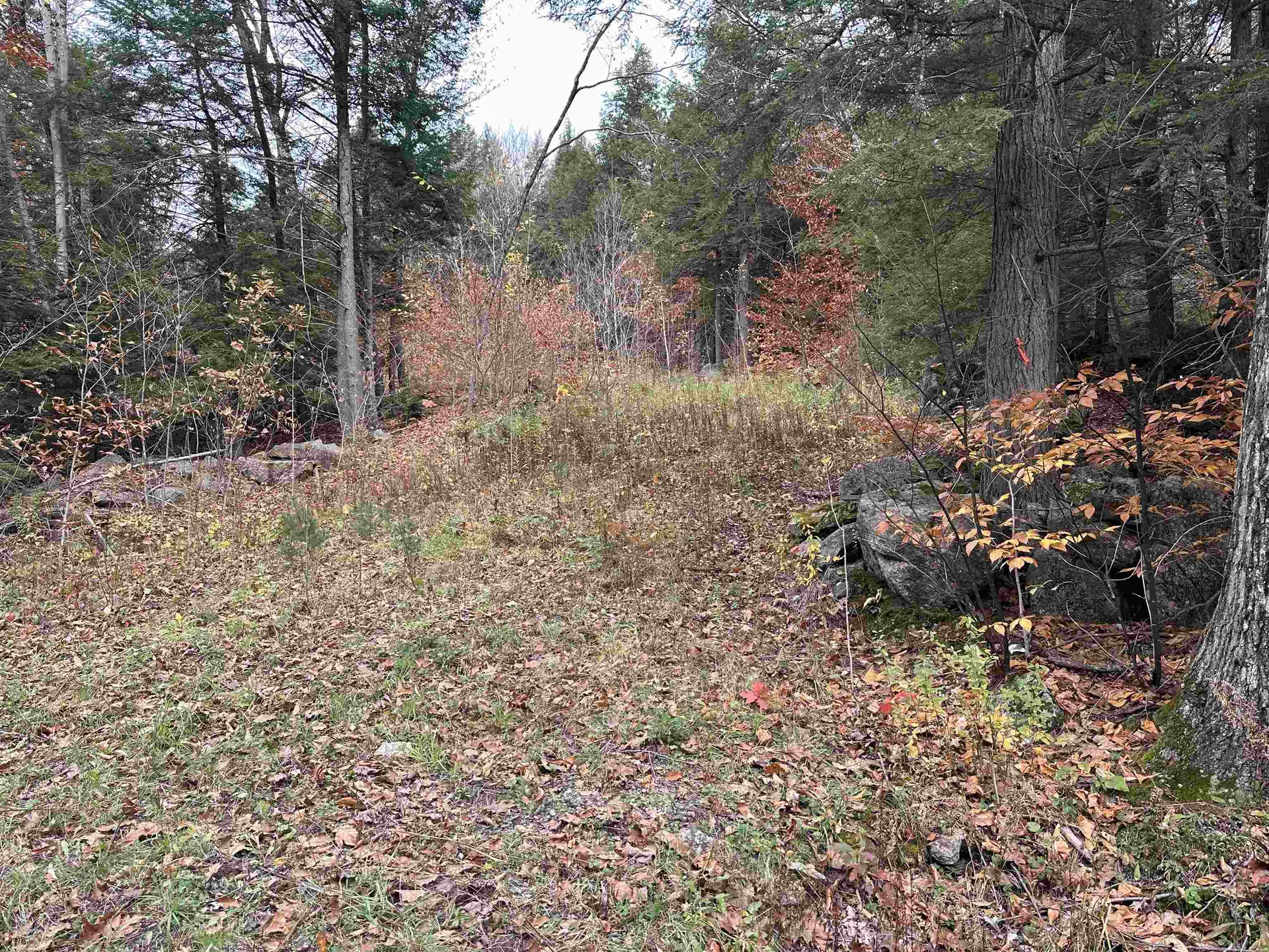 102 Colburn Farm Road Newbury NH 03255