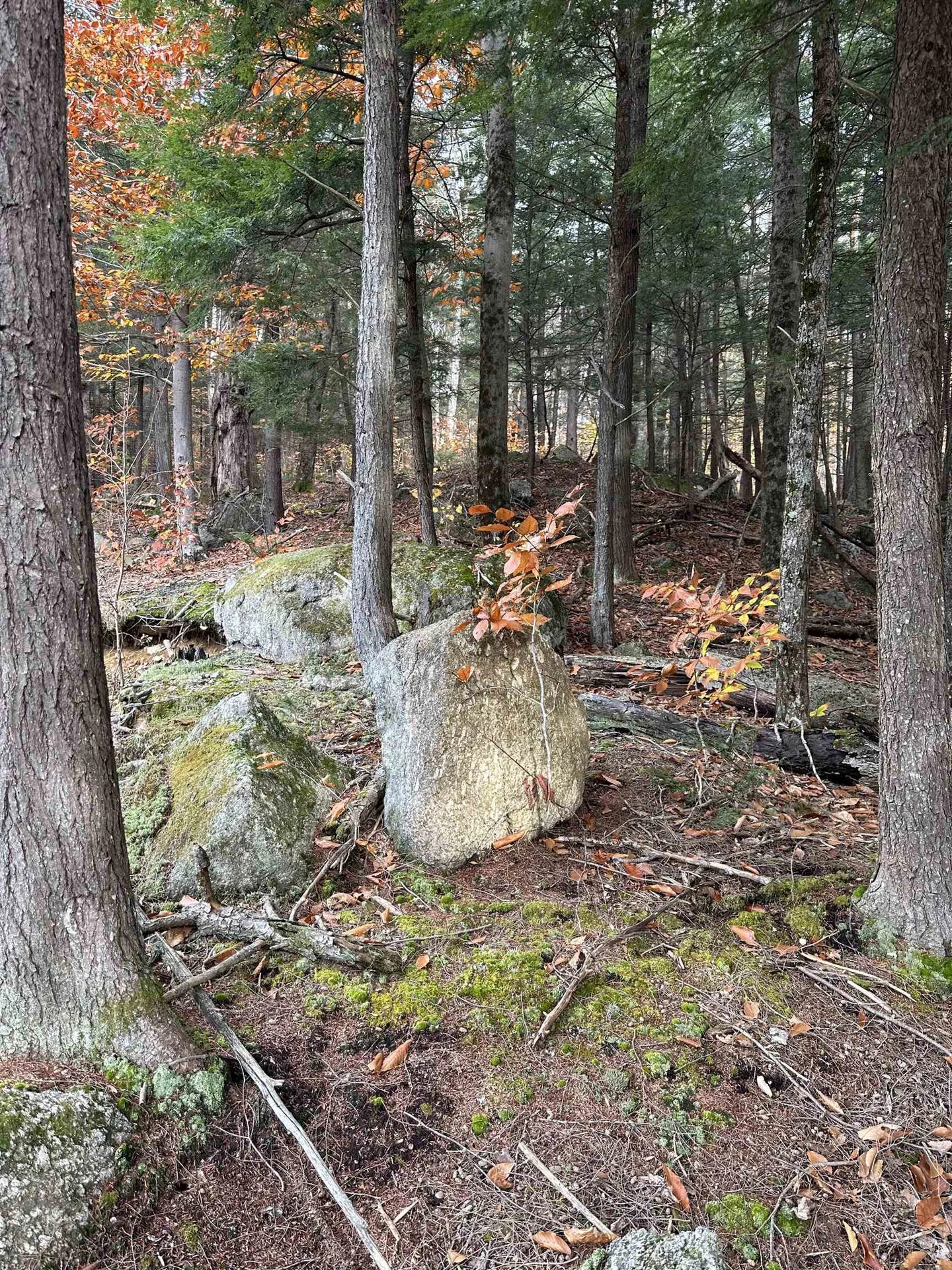 102 Colburn Farm Road Newbury NH 03255