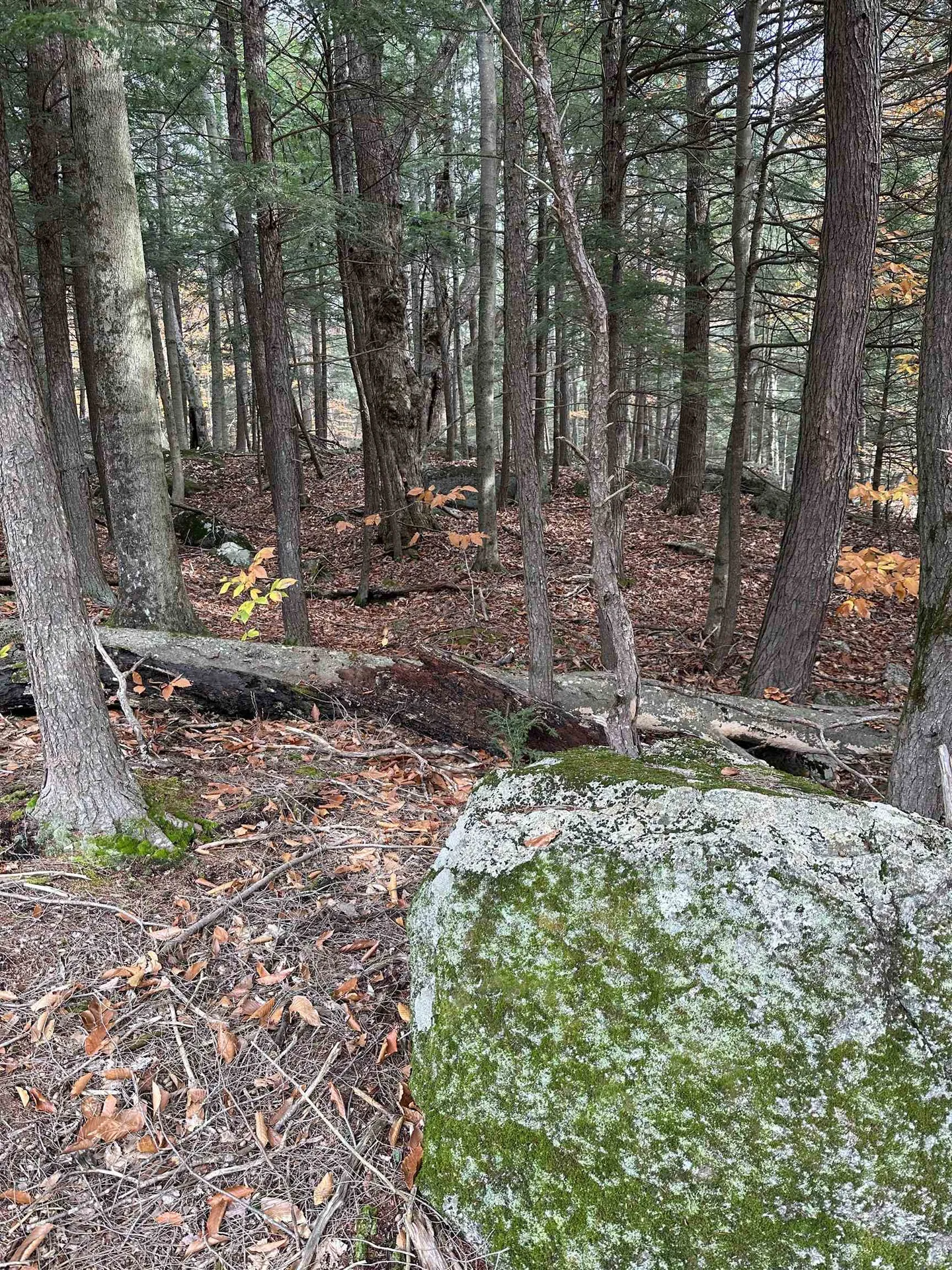 102 Colburn Farm Road Newbury NH 03255