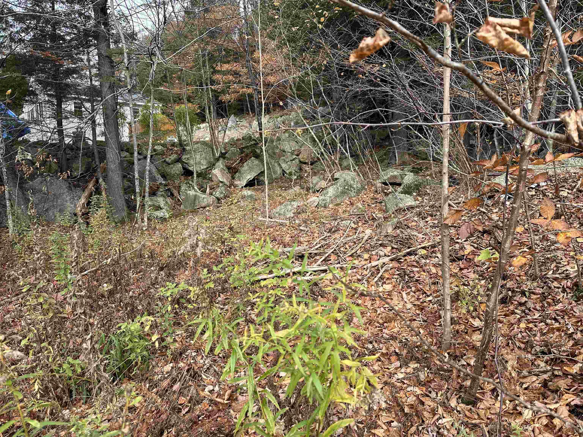 102 Colburn Farm Road Newbury NH 03255