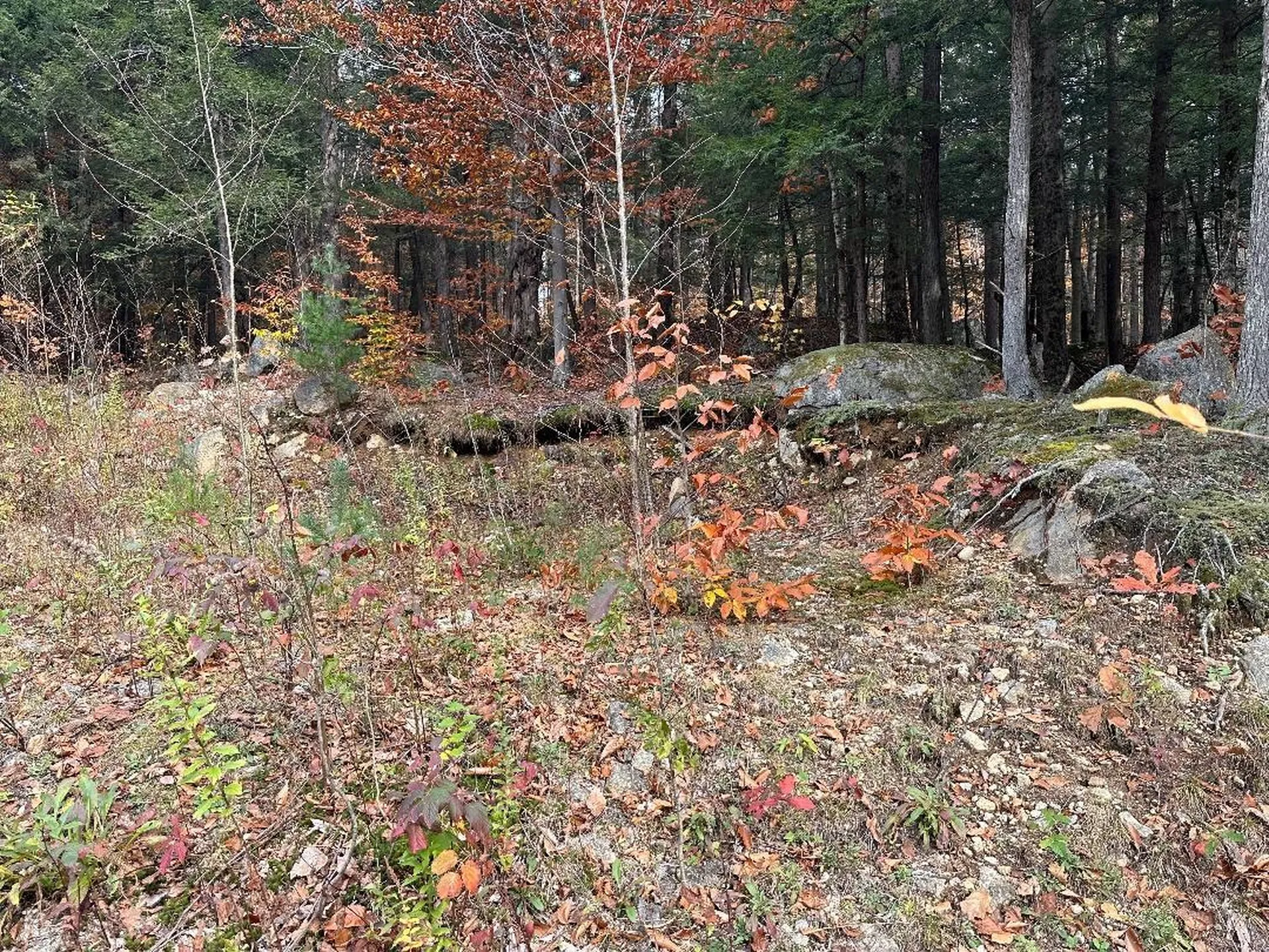 102 Colburn Farm Road Newbury NH 03255