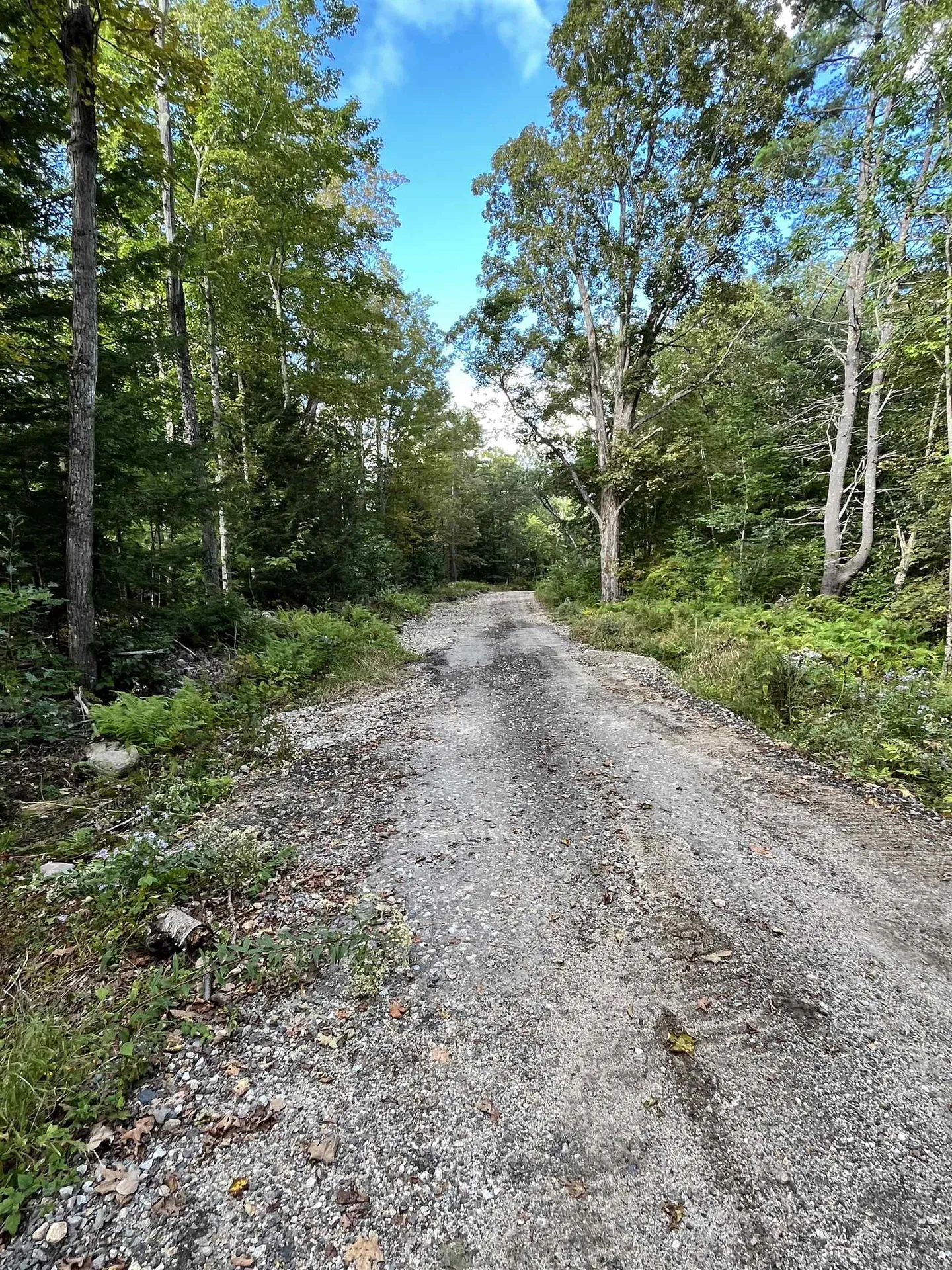 16 Pollys Crossing Road Ossipee NH 03864