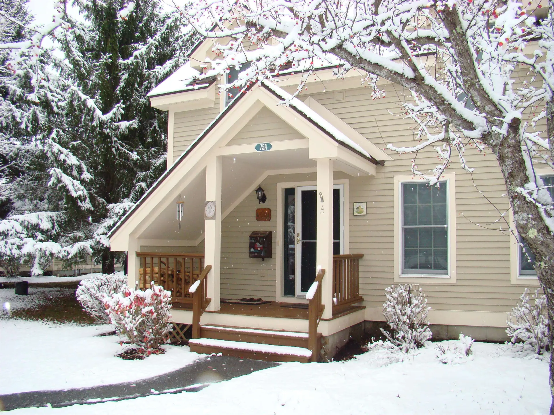 75A Kingswood Road Dover VT 05356