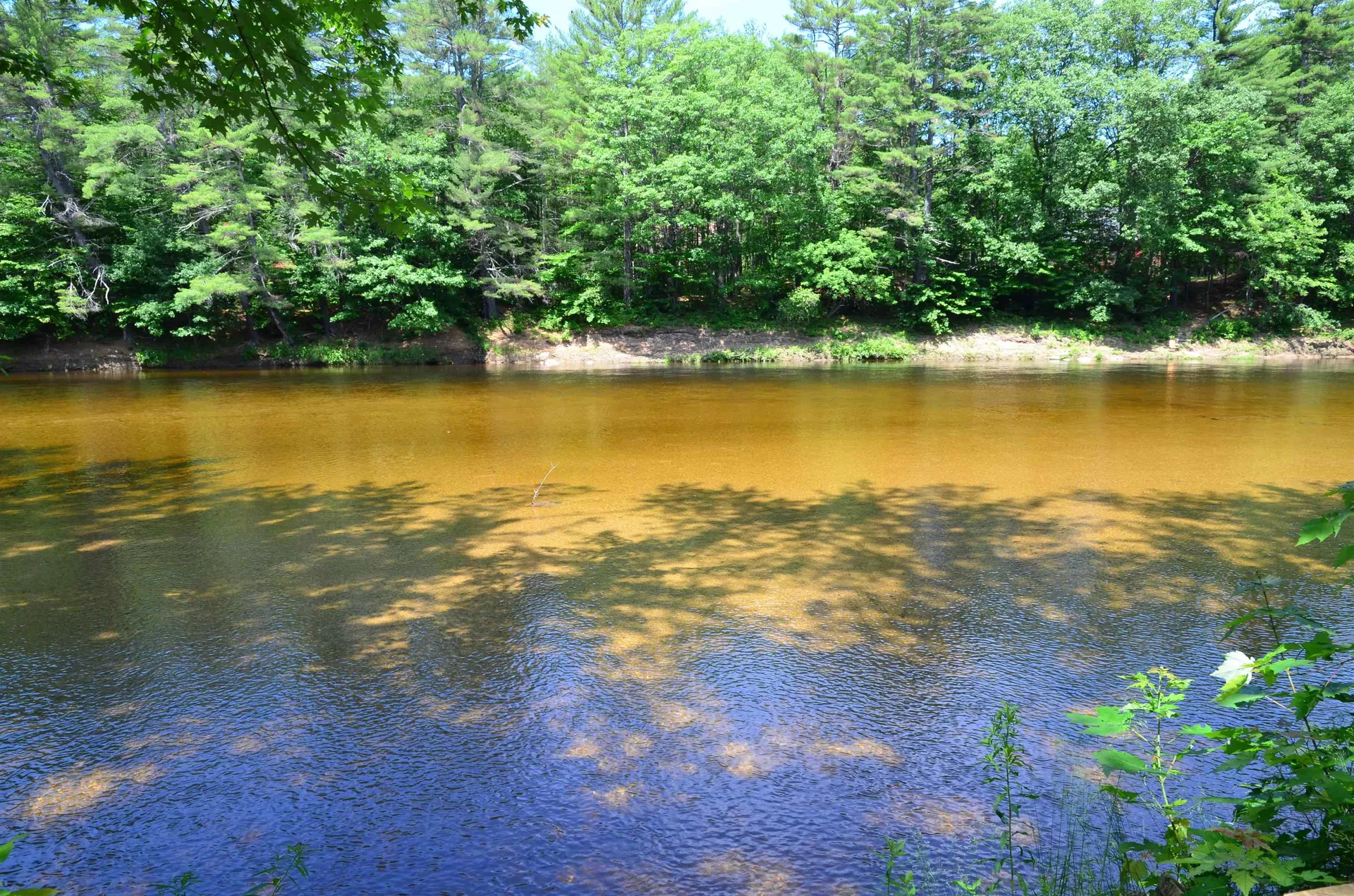 78 Saco Pines Drive Conway NH 03813