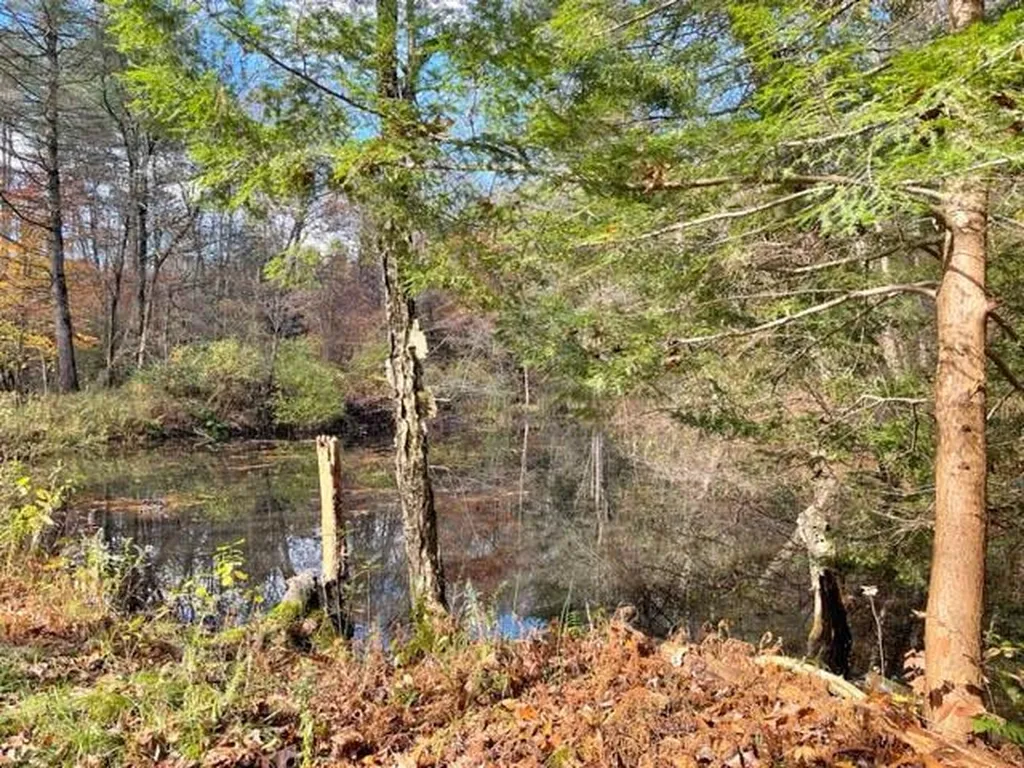 0 Sand Hill Road Westminster VT 05158