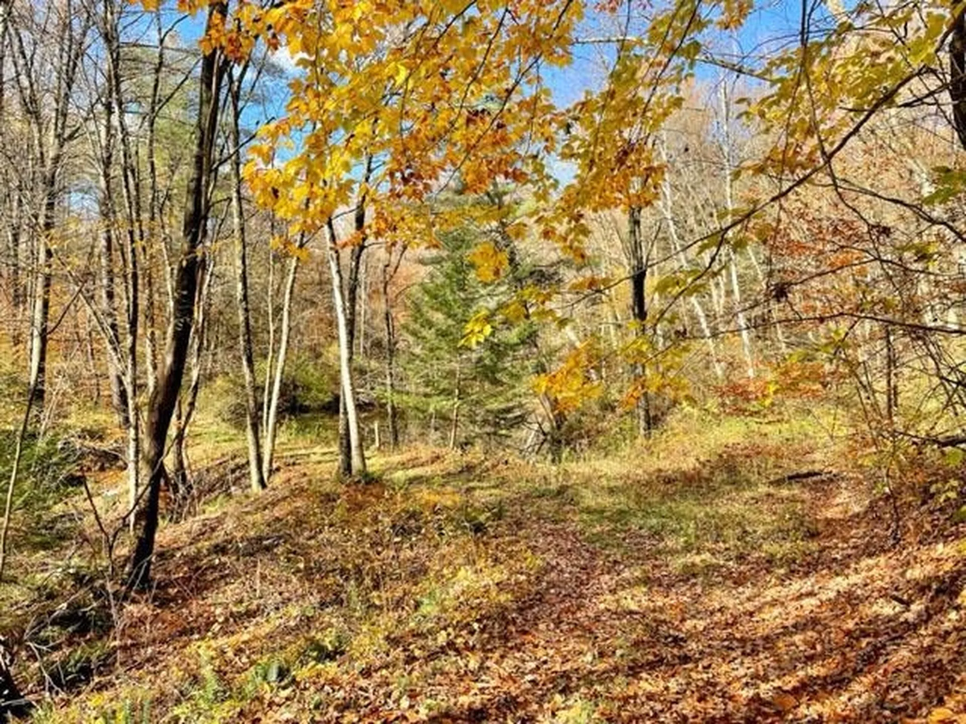 0 Sand Hill Road Westminster VT 05158