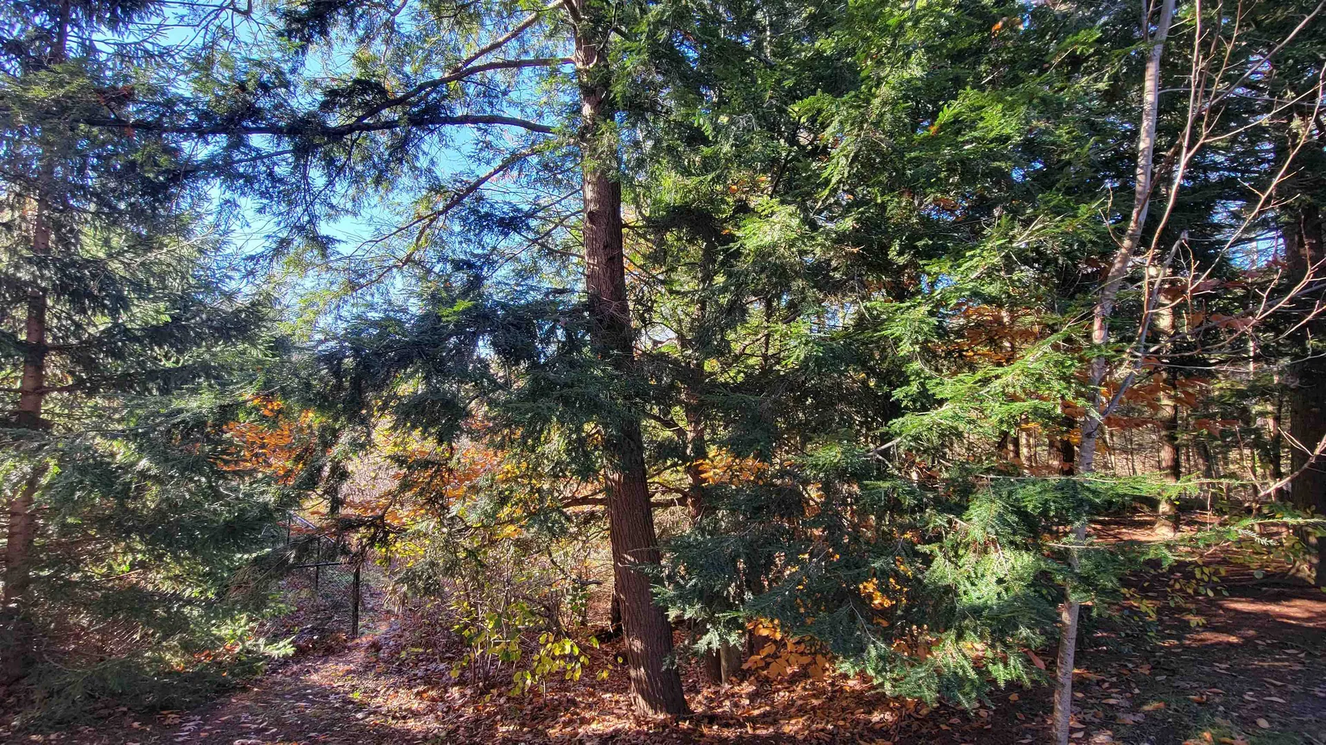 52 Winding Brook Drive South Burlington VT 05403
