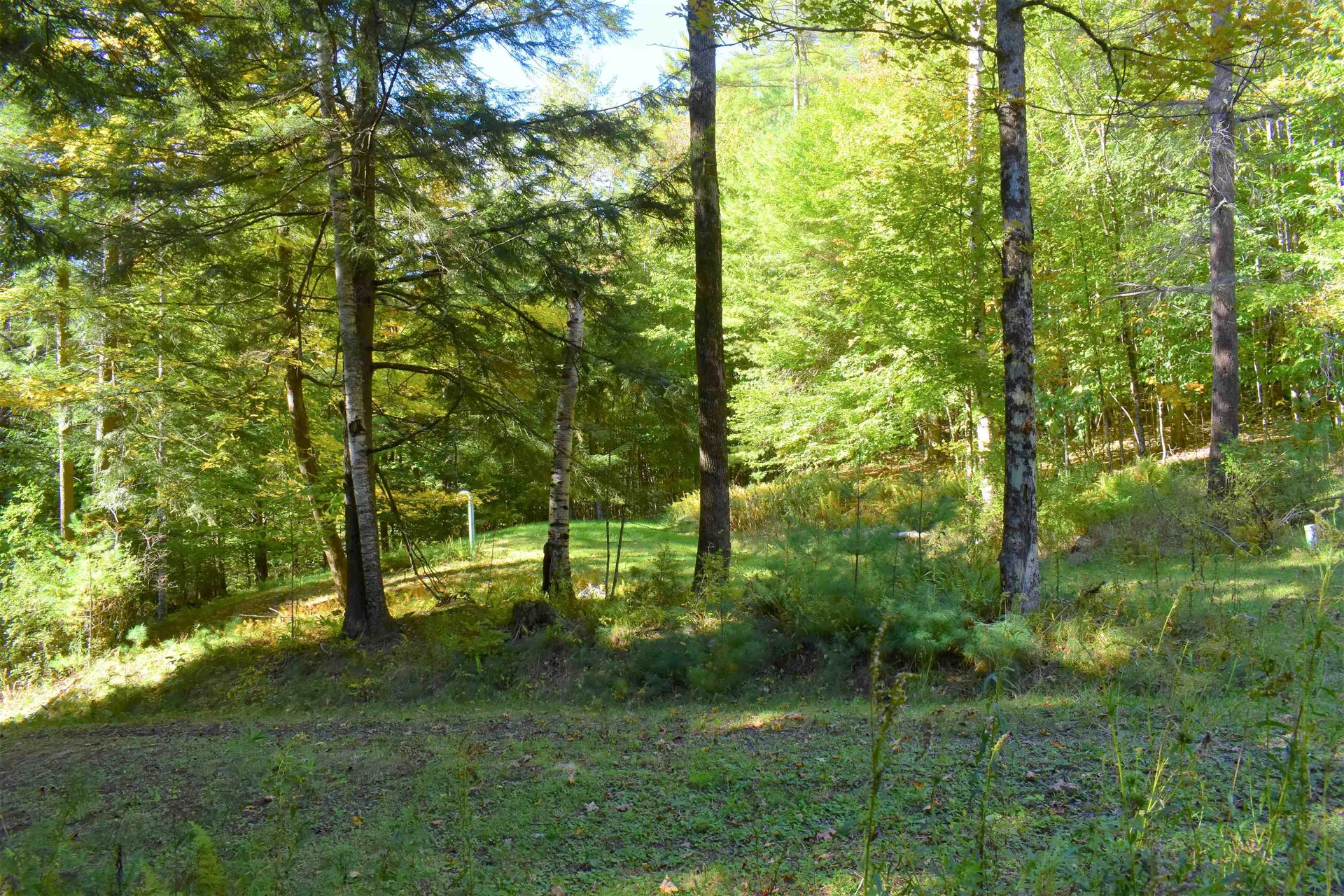 1348 Five Corners Road Thetford VT 05075