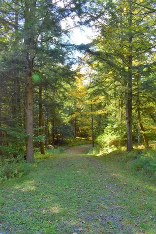 1348 Five Corners Road Thetford VT 05075