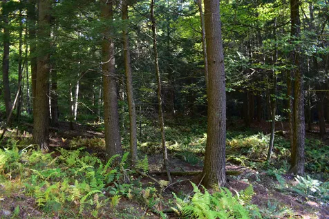 1348 Five Corners Road Thetford VT 05075