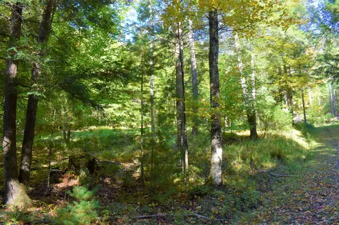 1348 Five Corners Road Thetford VT 05075