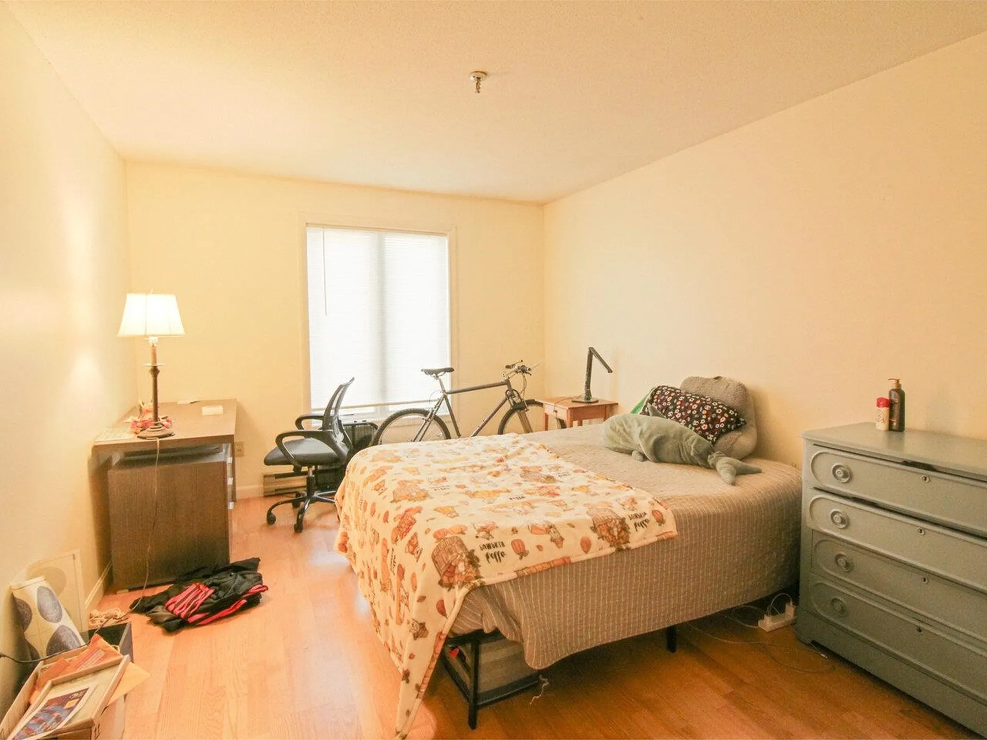 47 South Williams Street Burlington VT 05401