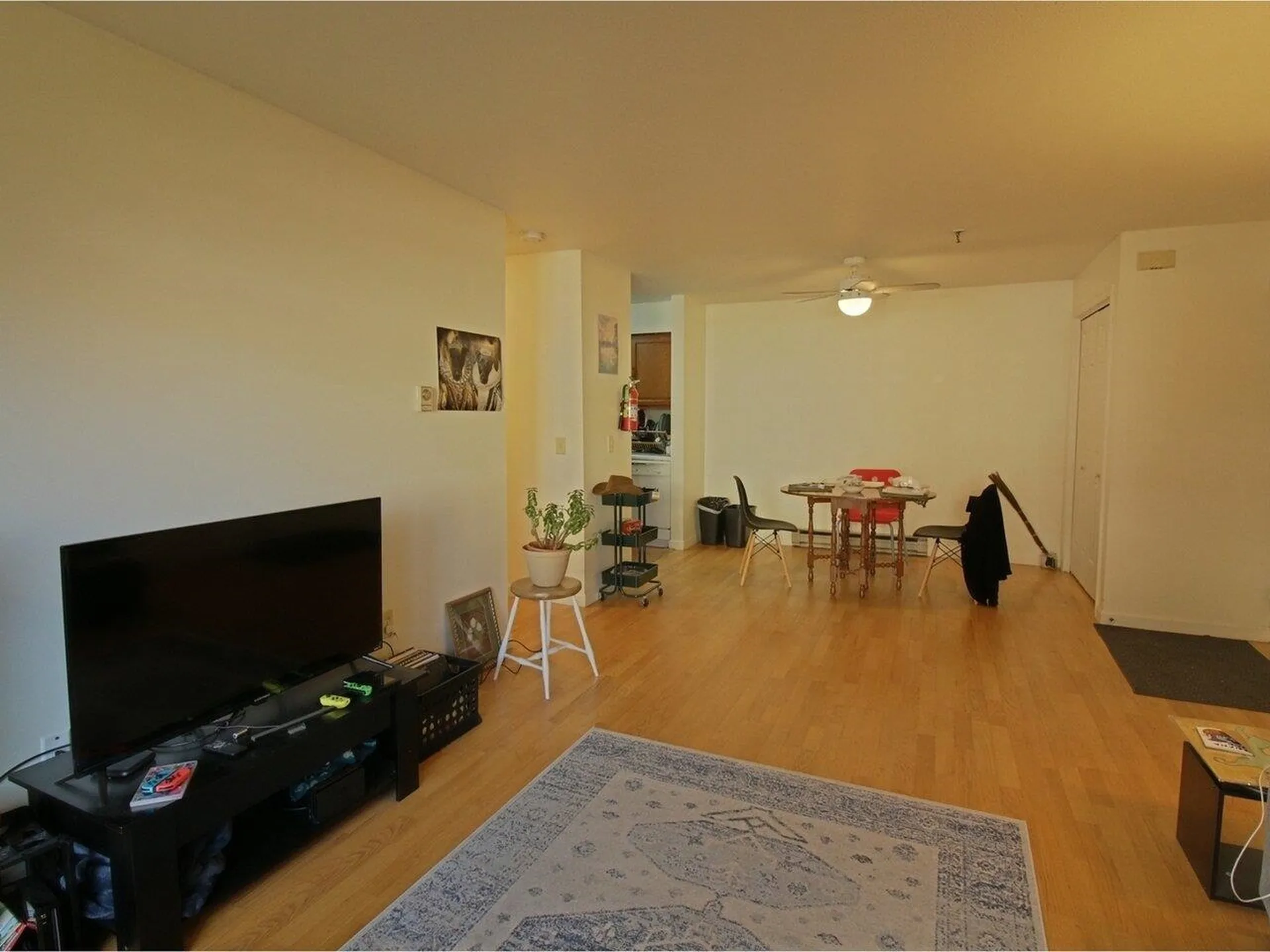 47 South Williams Street Burlington VT 05401