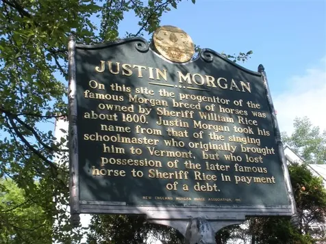 21710 Maxham Meadow Way Woodstock VT 05091