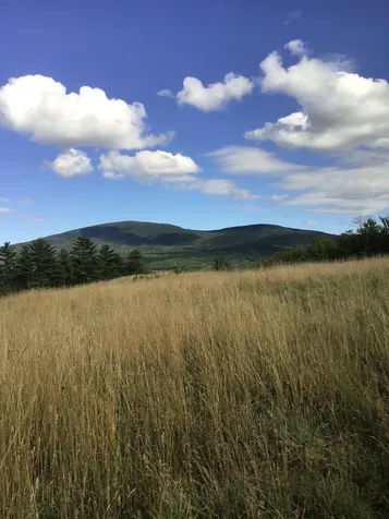 Lot 3 Baker Road Sutton NH 03260