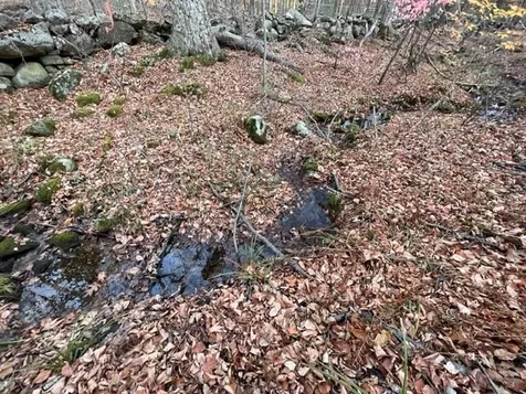 732 S Stark Highway Weare NH 03281