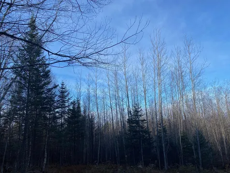 0 Sanville Road Troy VT 05859