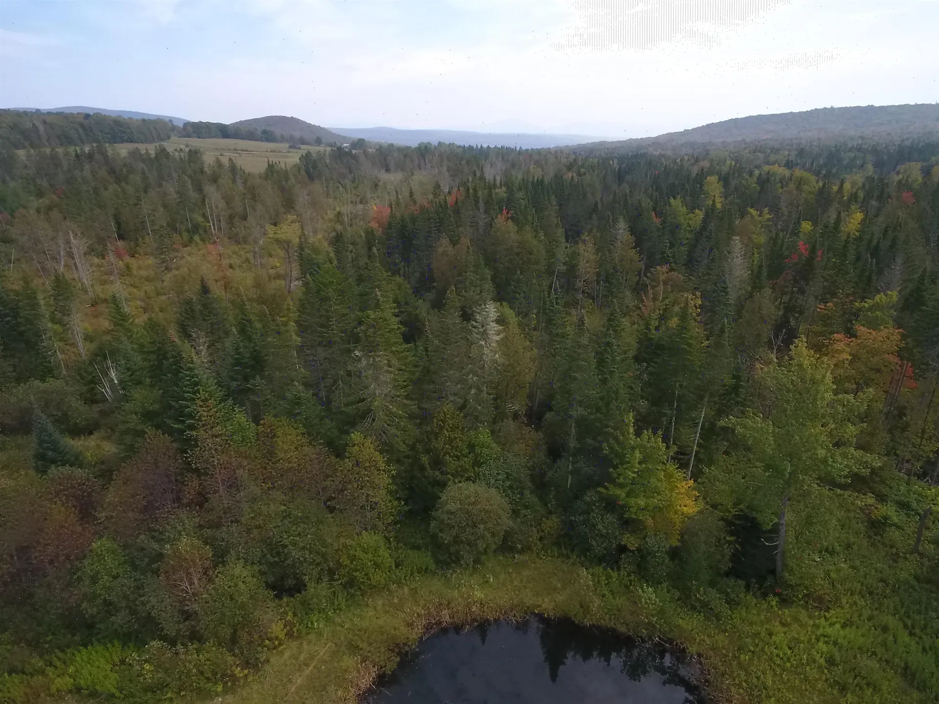 550 Dunn Mountain Road Sheffield VT 05866