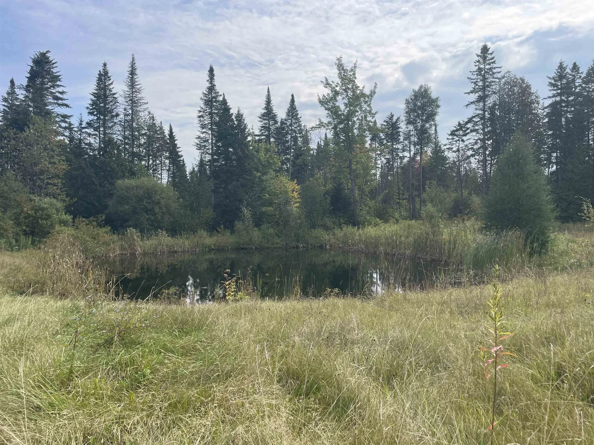 550 Dunn Mountain Road Sheffield VT 05866