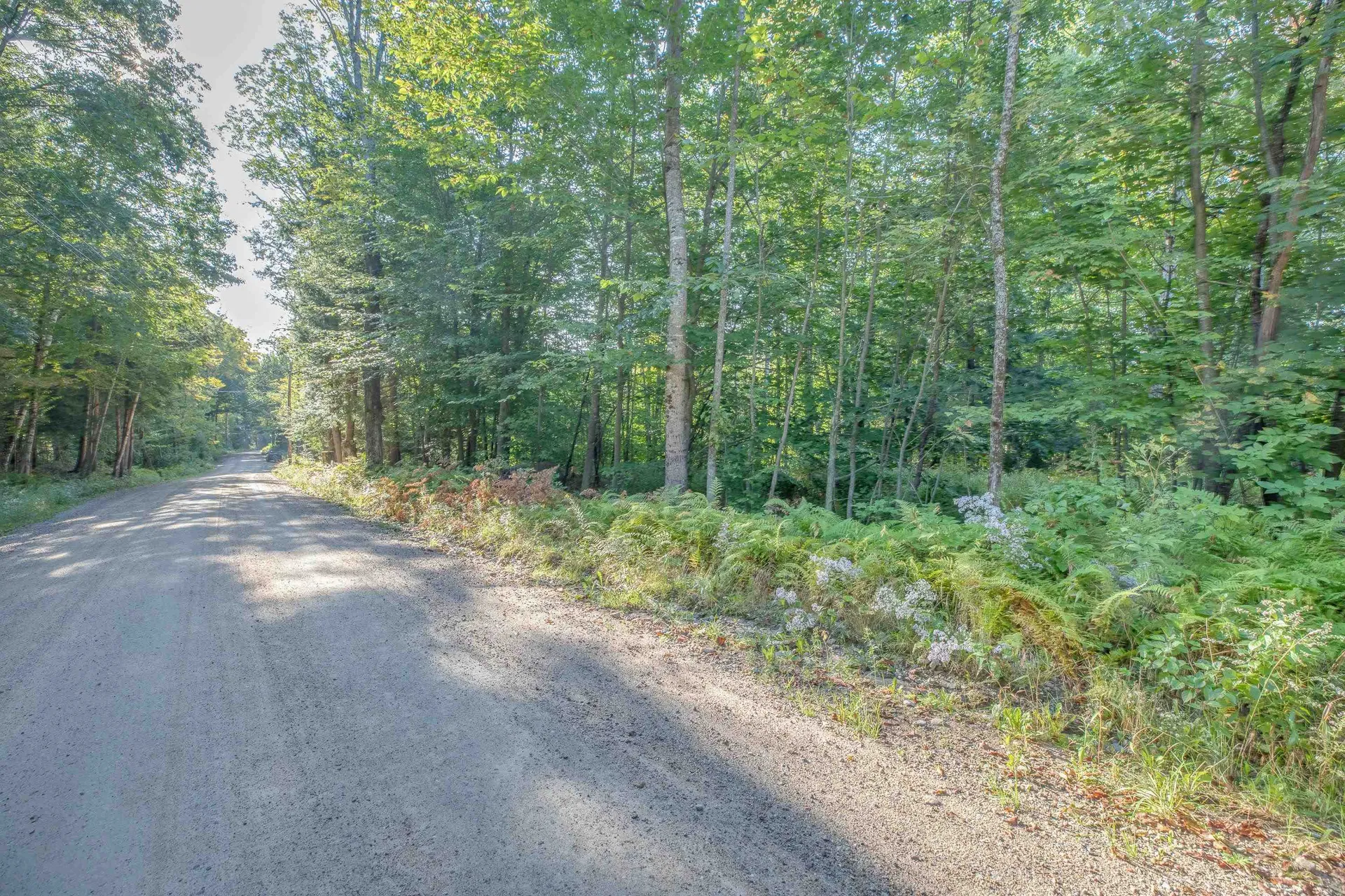 699 Brown Hill Road Tamworth NH 03886