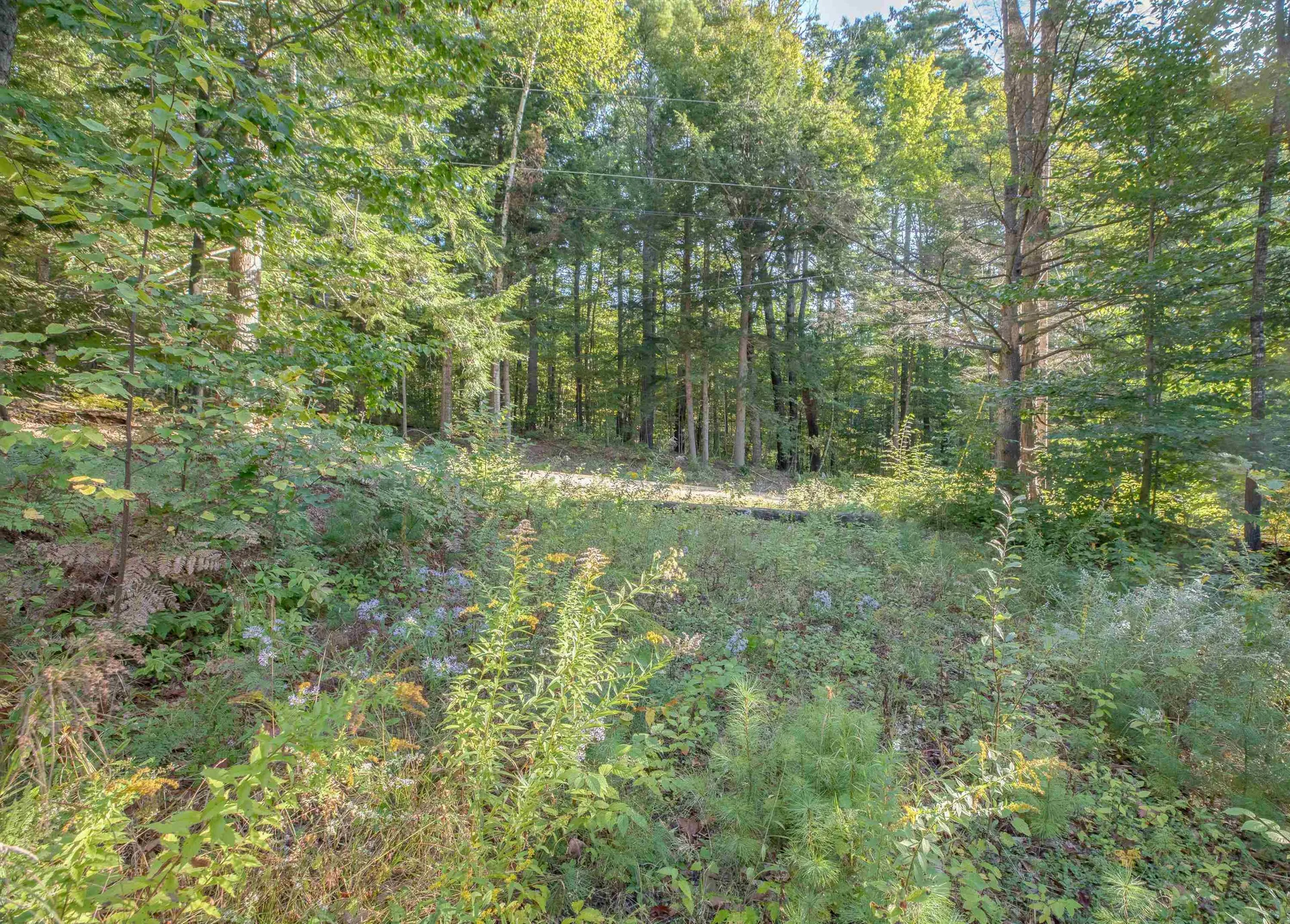 699 Brown Hill Road Tamworth NH 03886