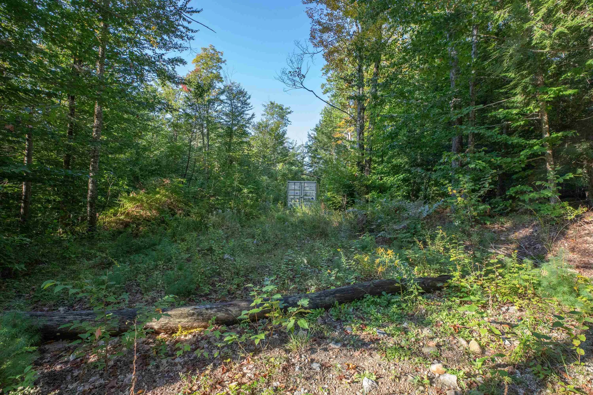 699 Brown Hill Road Tamworth NH 03886