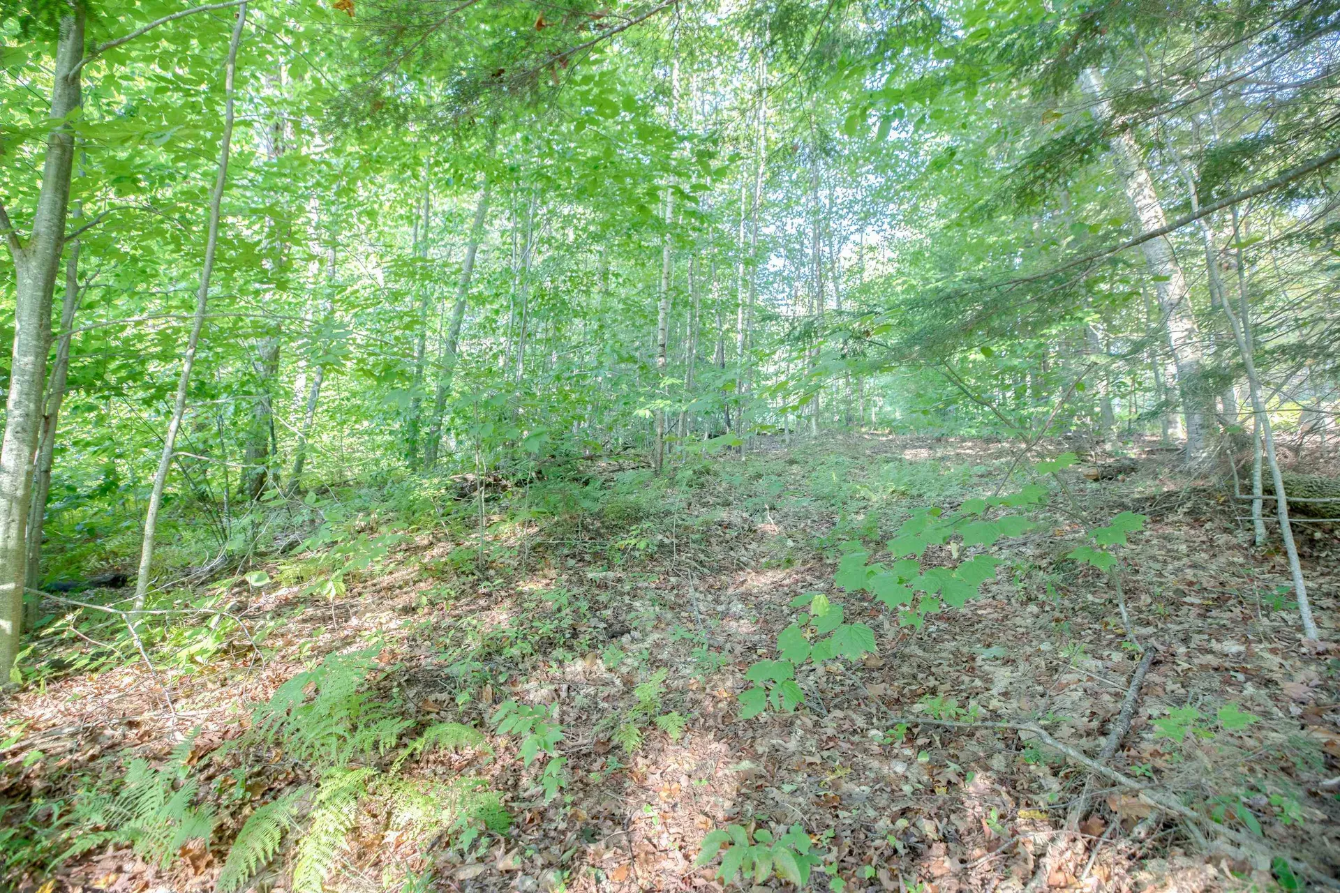 699 Brown Hill Road Tamworth NH 03886