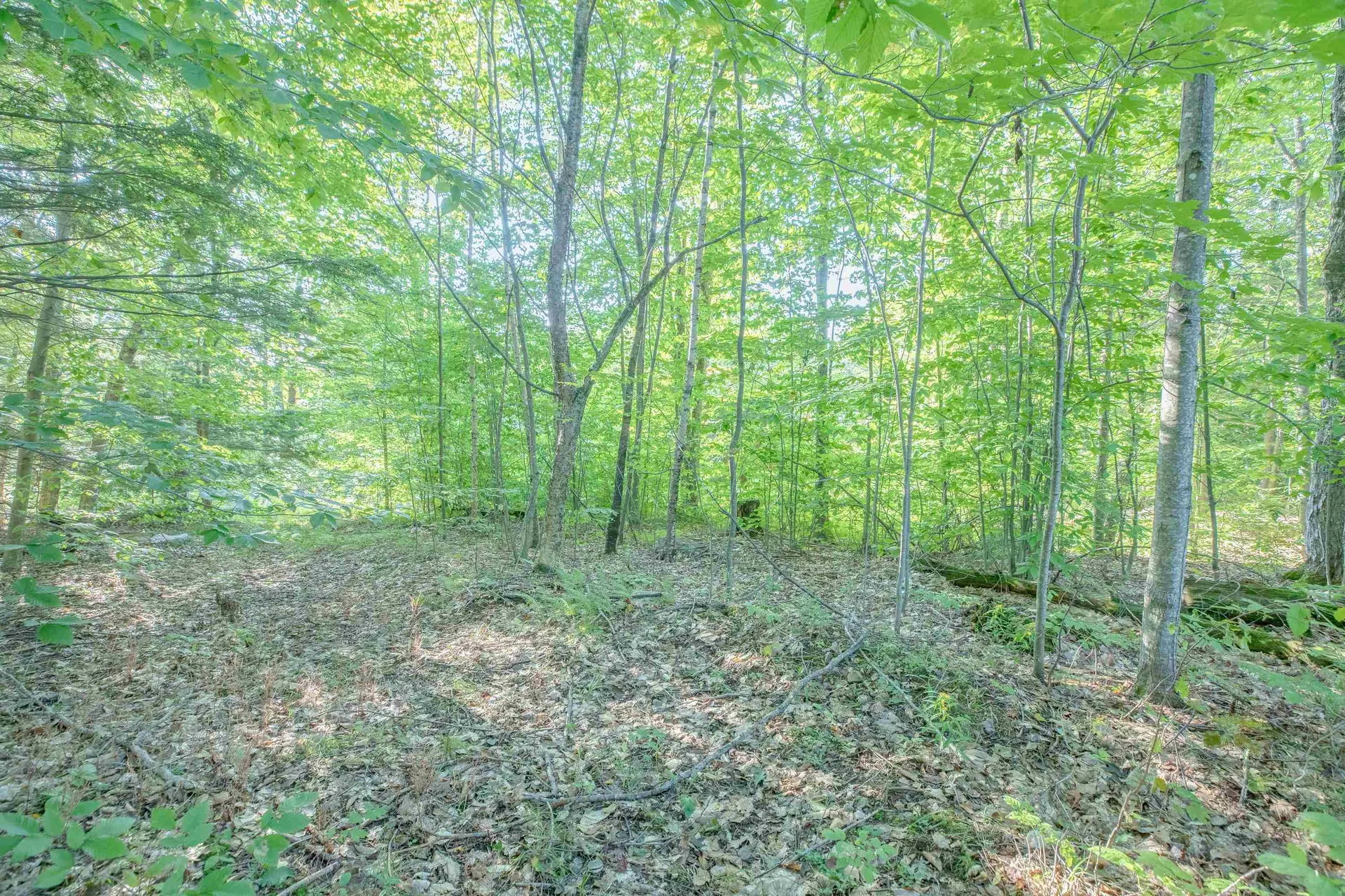699 Brown Hill Road Tamworth NH 03886