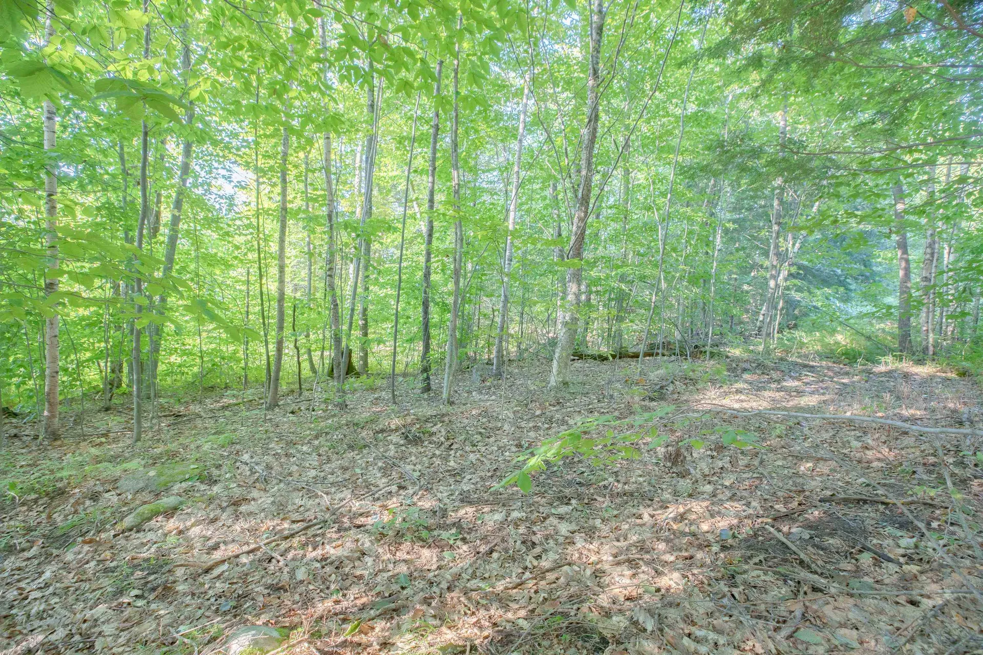 699 Brown Hill Road Tamworth NH 03886