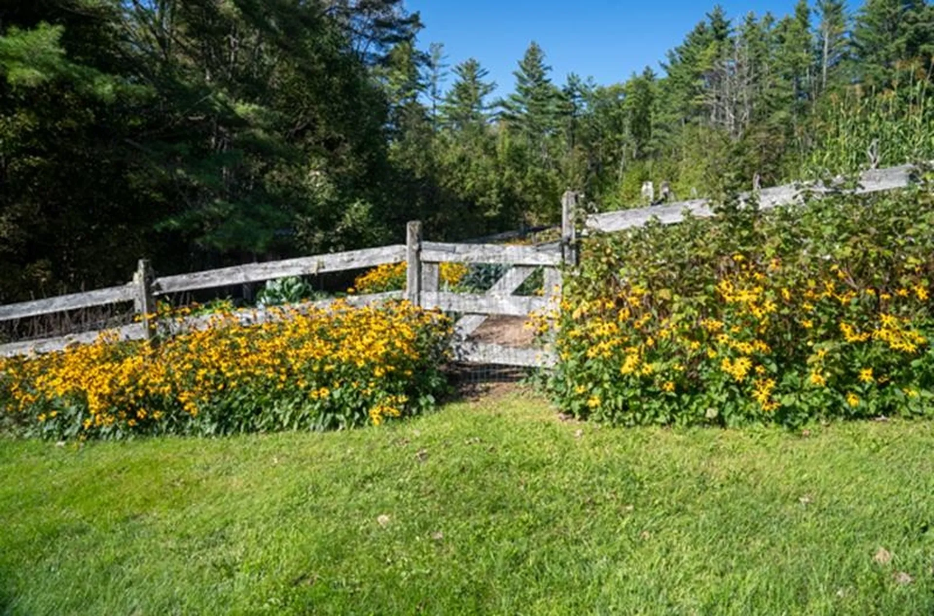 207 Brooks Lane Londonderry VT 05148