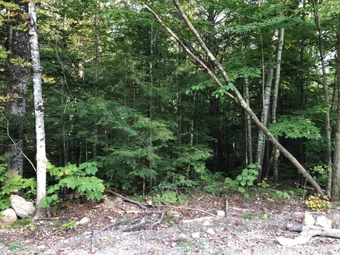 0 Hemlock Road Bartlett NH 03812