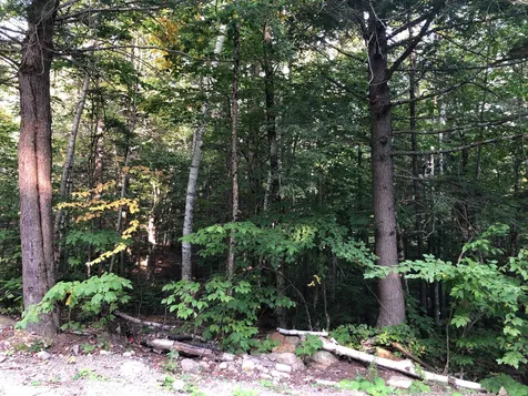 0 Hemlock Road Bartlett NH 03812