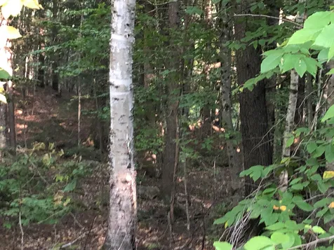0 Hemlock Road Bartlett NH 03812