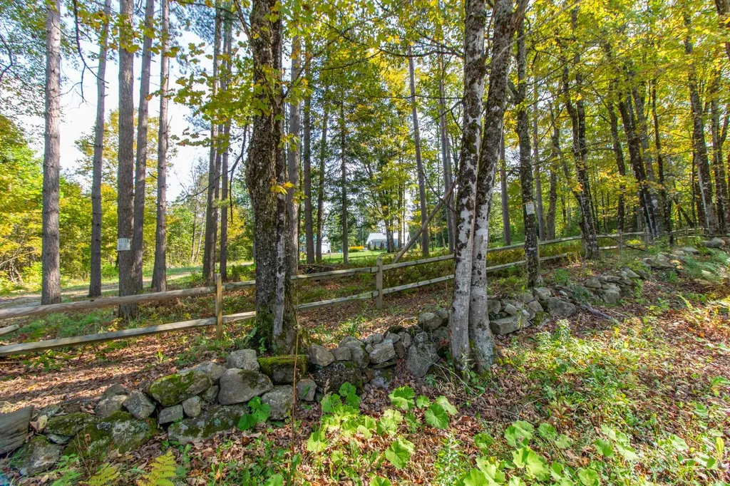358 Nygrens Road Sutton VT 05867-9799