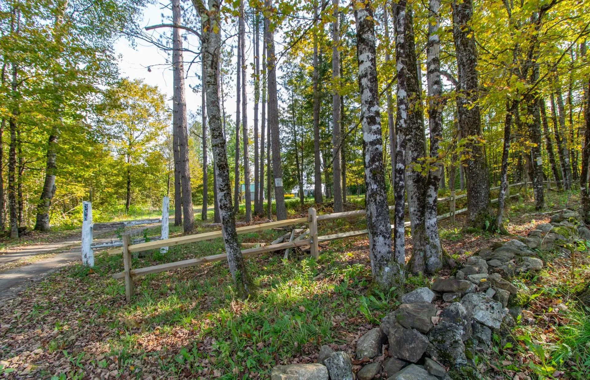 358 Nygrens Road Sutton VT 05867-9799