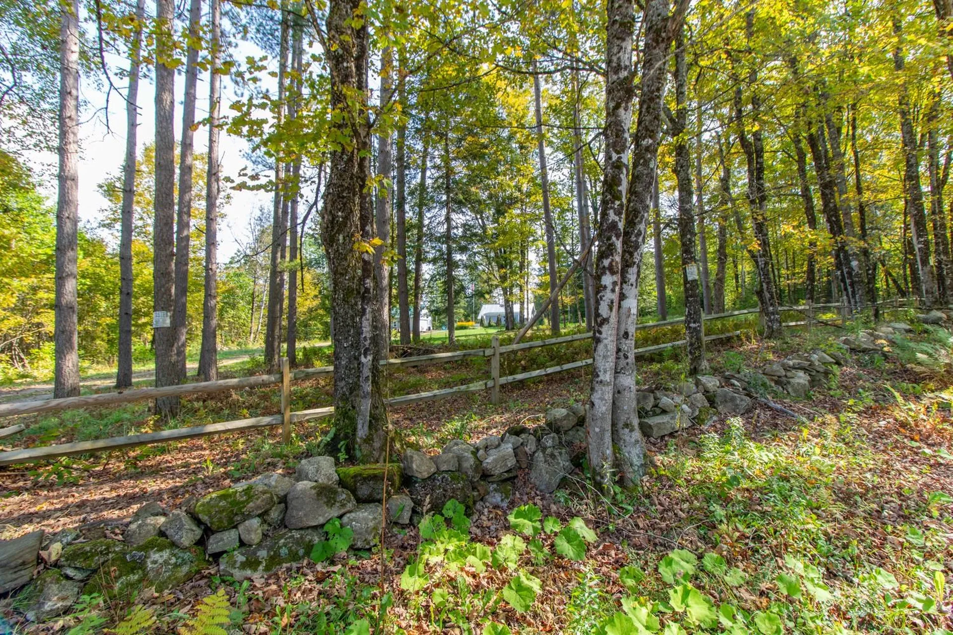 358 Nygrens Road Sutton VT 05867-9799