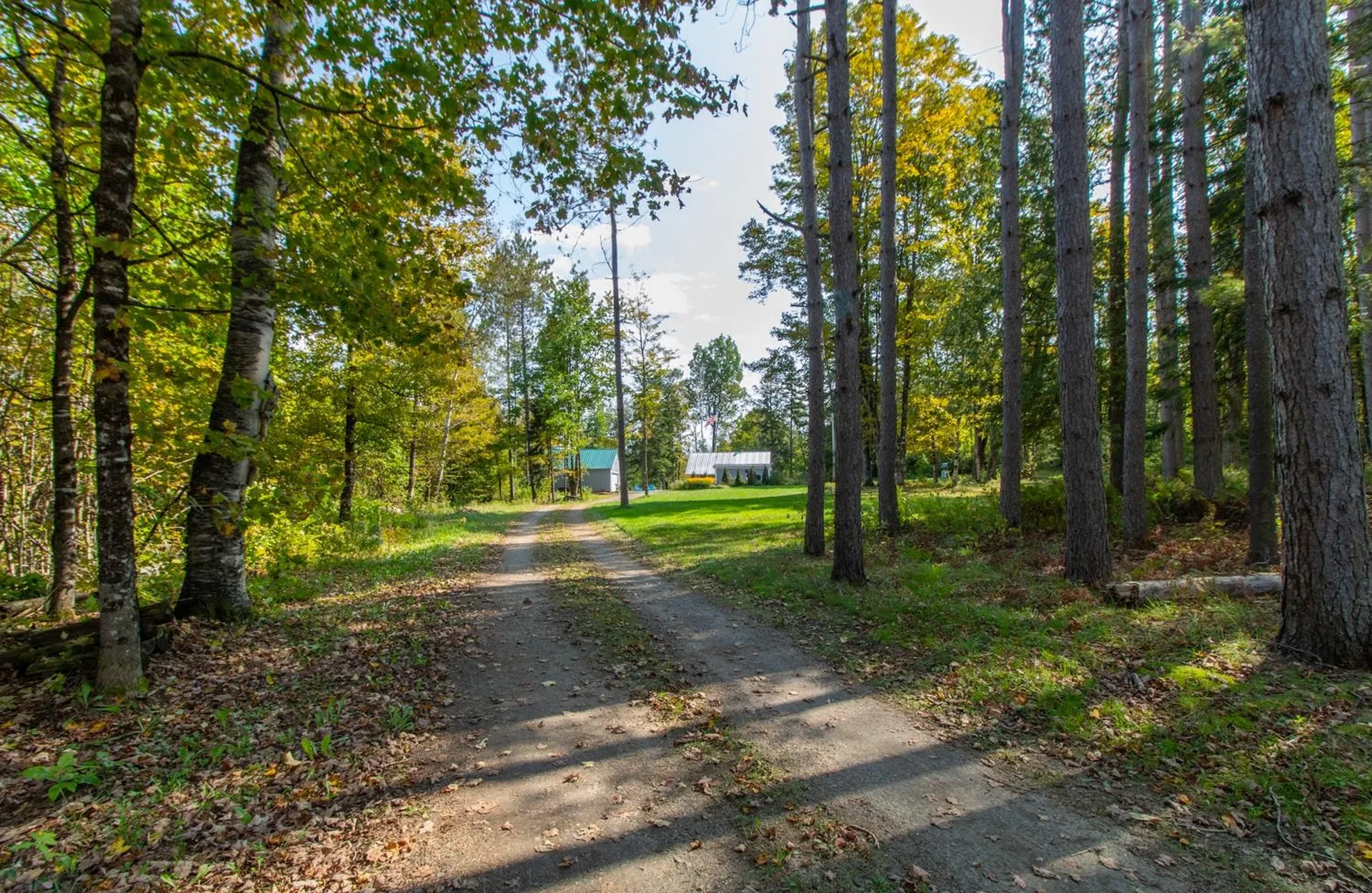 358 Nygrens Road Sutton VT 05867-9799