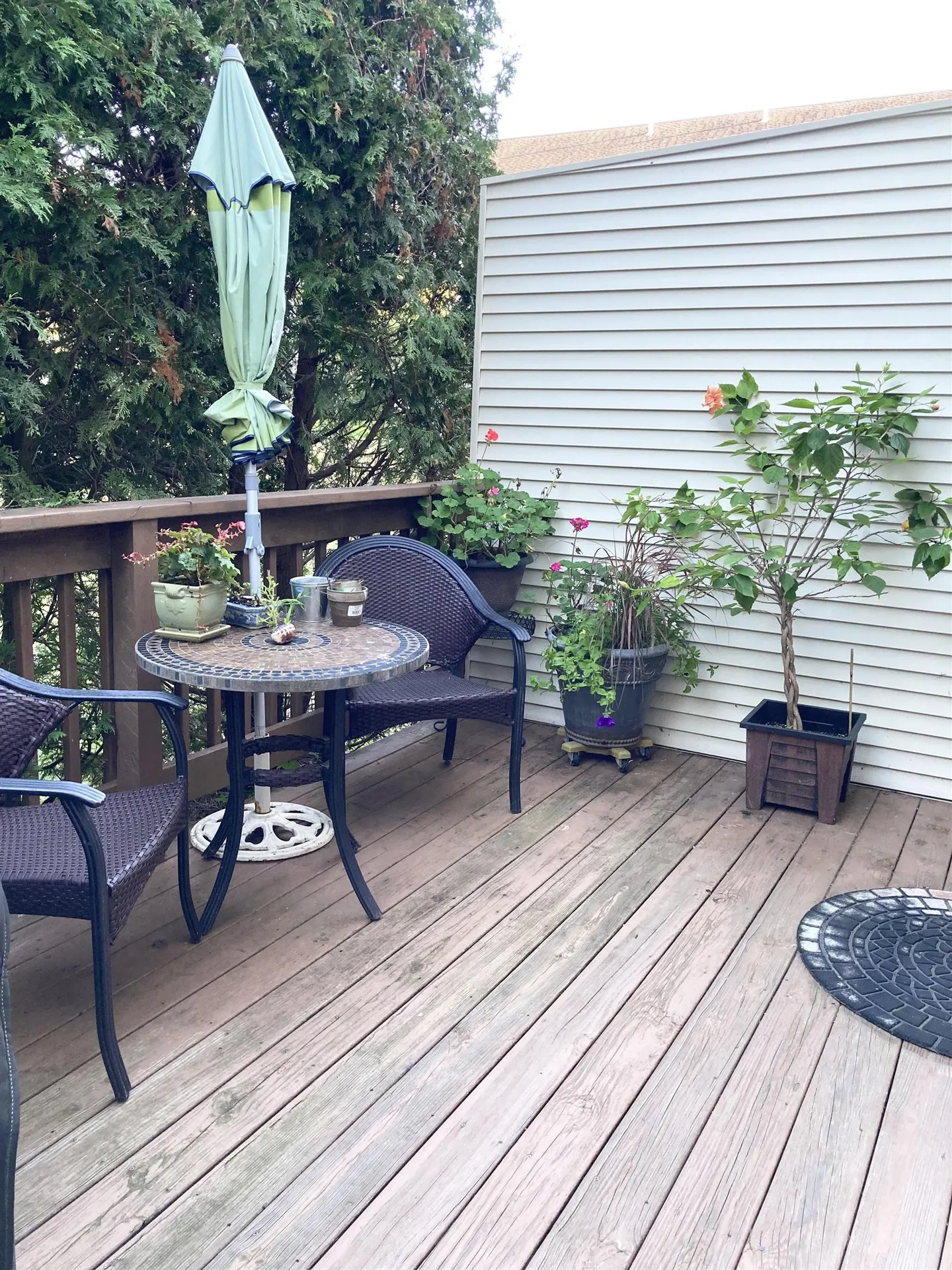 105 Fern Court Colchester VT 05446