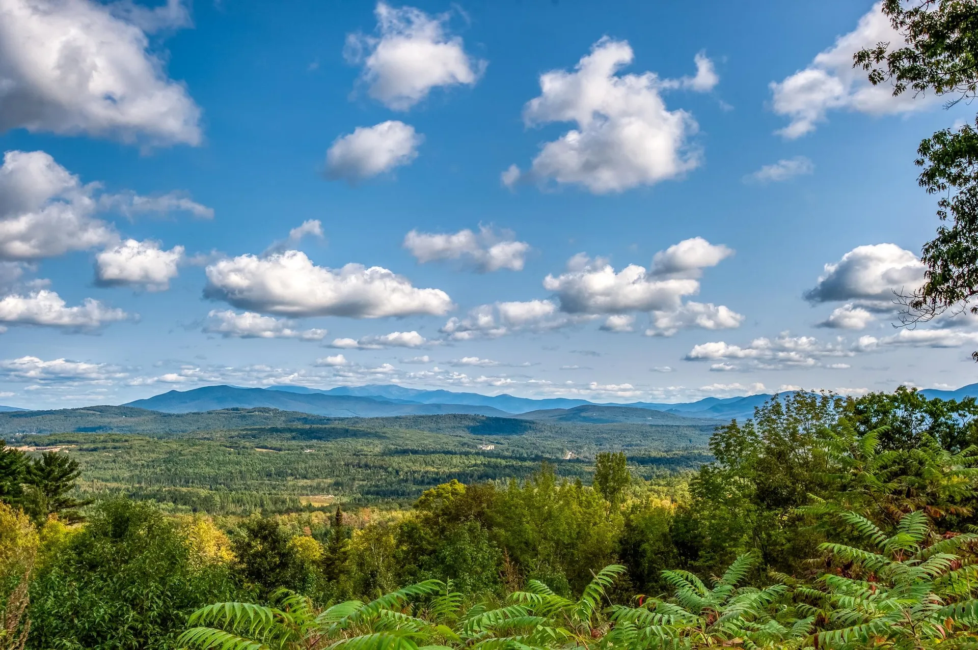 1315 Manns Hill Road Littleton NH 03561