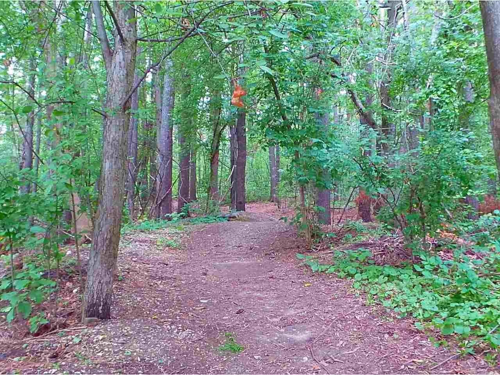180 Ledgewood Circle Burlington VT 05401