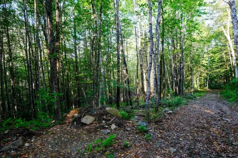 478 East Lake Road Ludlow VT 05149